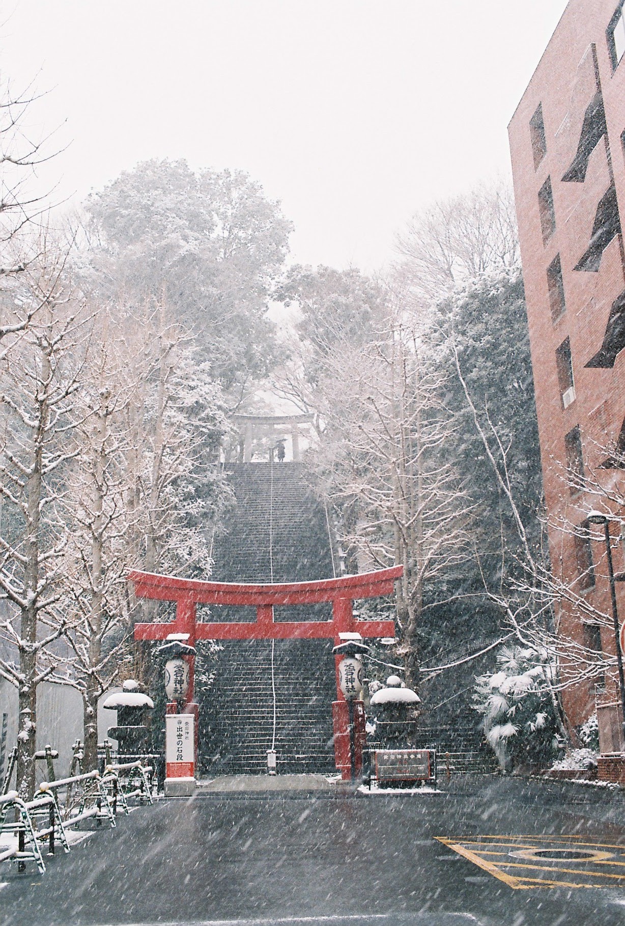 이게 바로 출세의 돌계단
한 번에 오르면 진짜 숨 찬다