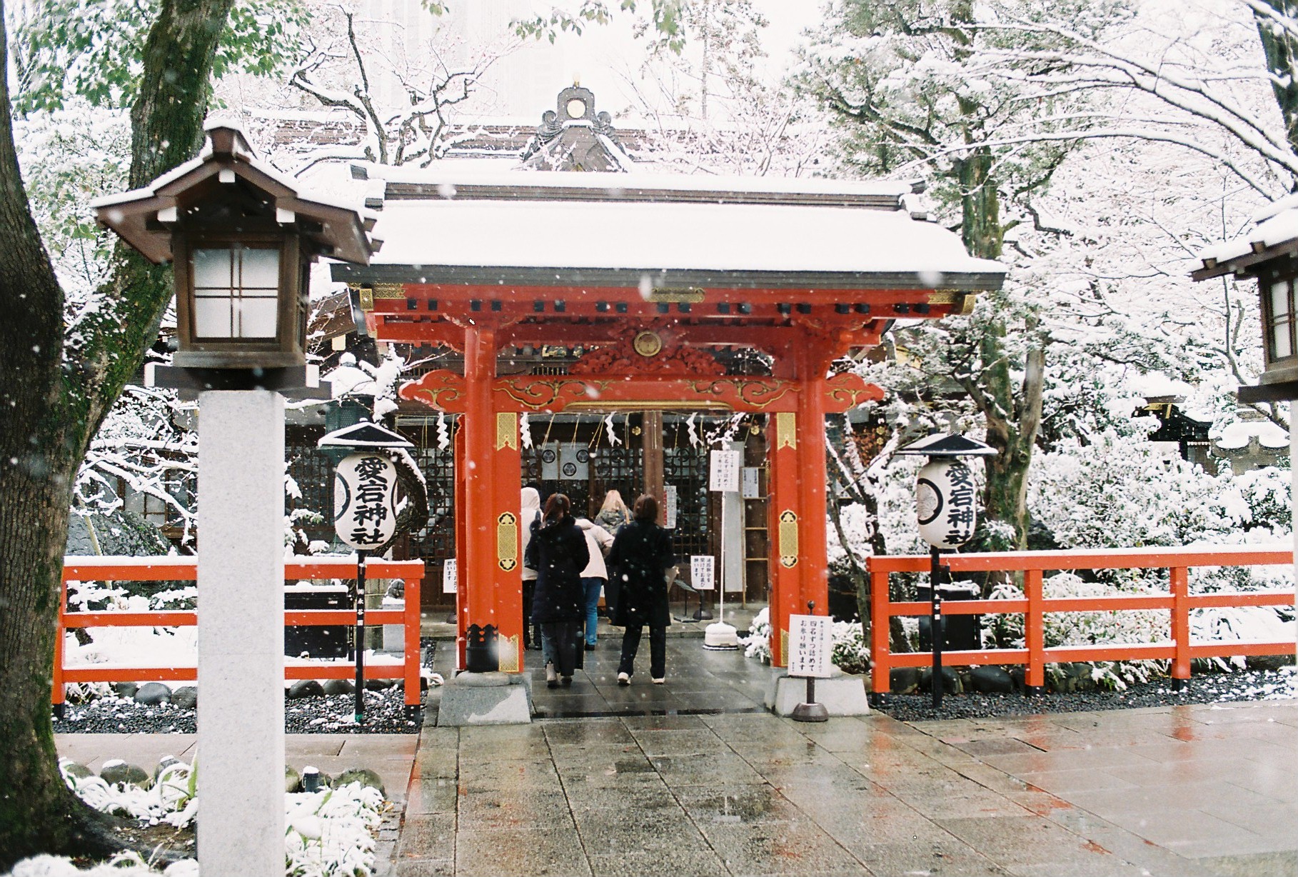 돌계단을 넘으면 아타고신사가 우아하고 고풍스럽게 있다.
도쿄에서 이런 재난급의 날씨에 사람들이 제법 있었다