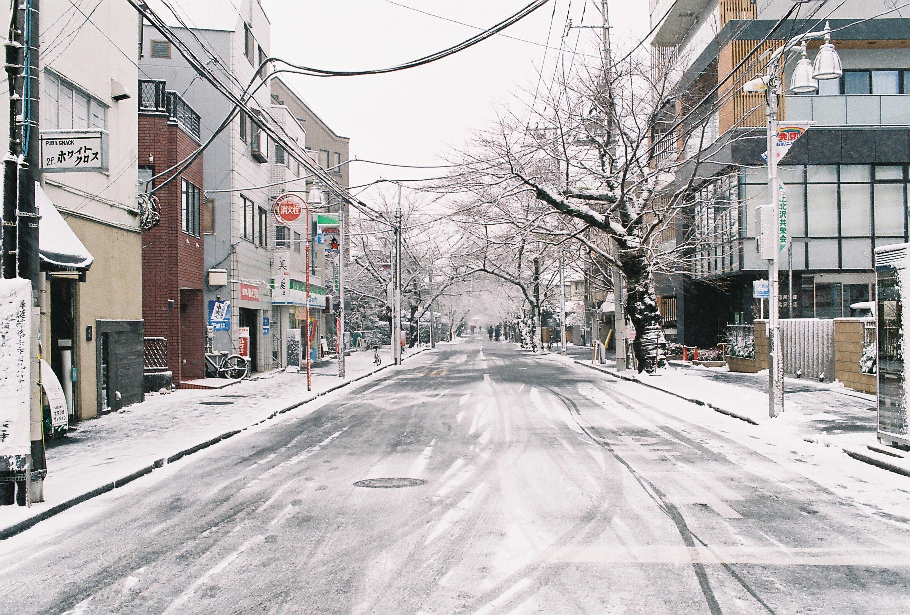 도쿄에서 이렇게 눈이 쌓일만큼 오는것은 1년에 한 번 있을까말까하다
