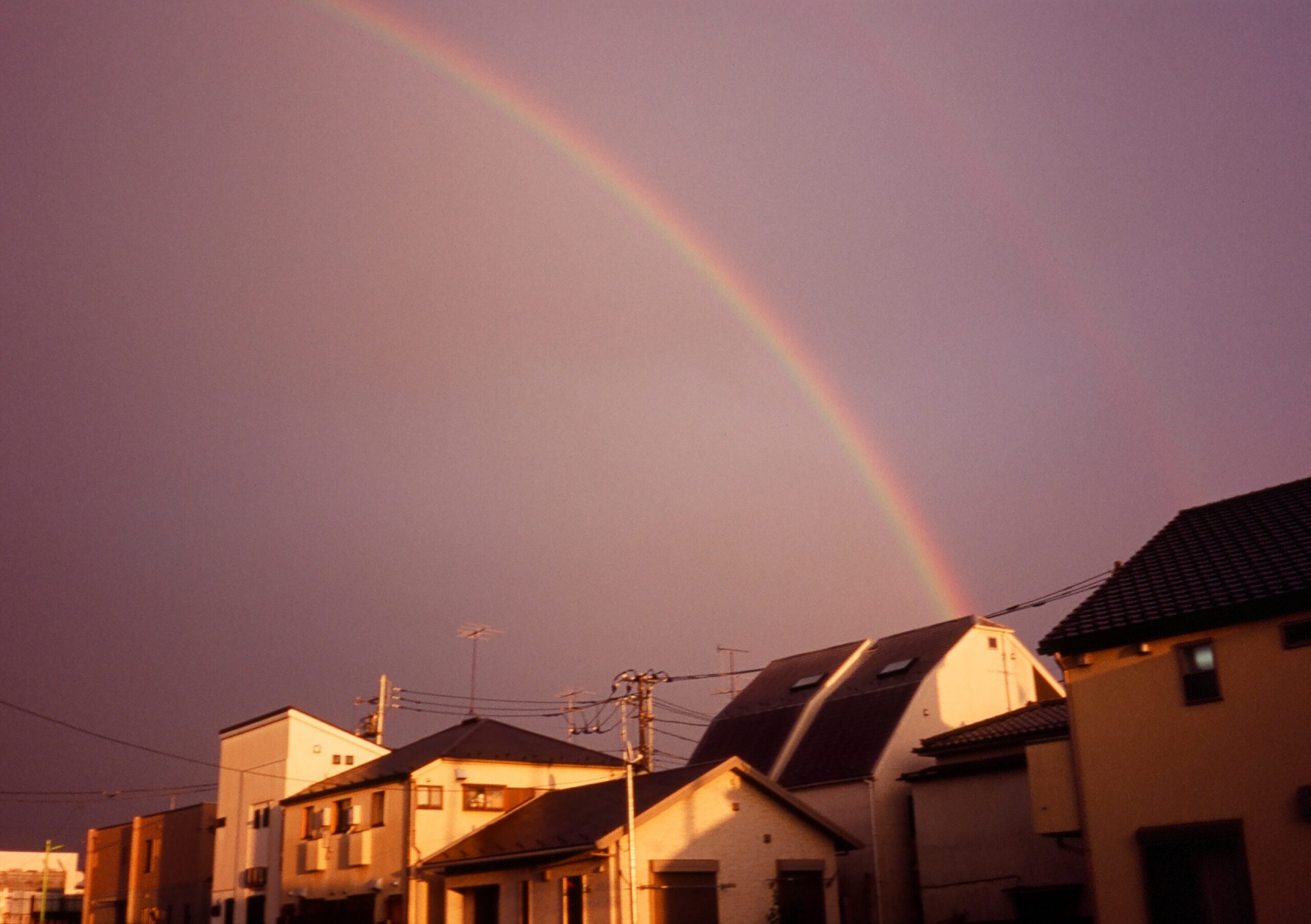 추가로 레인보우🌈
